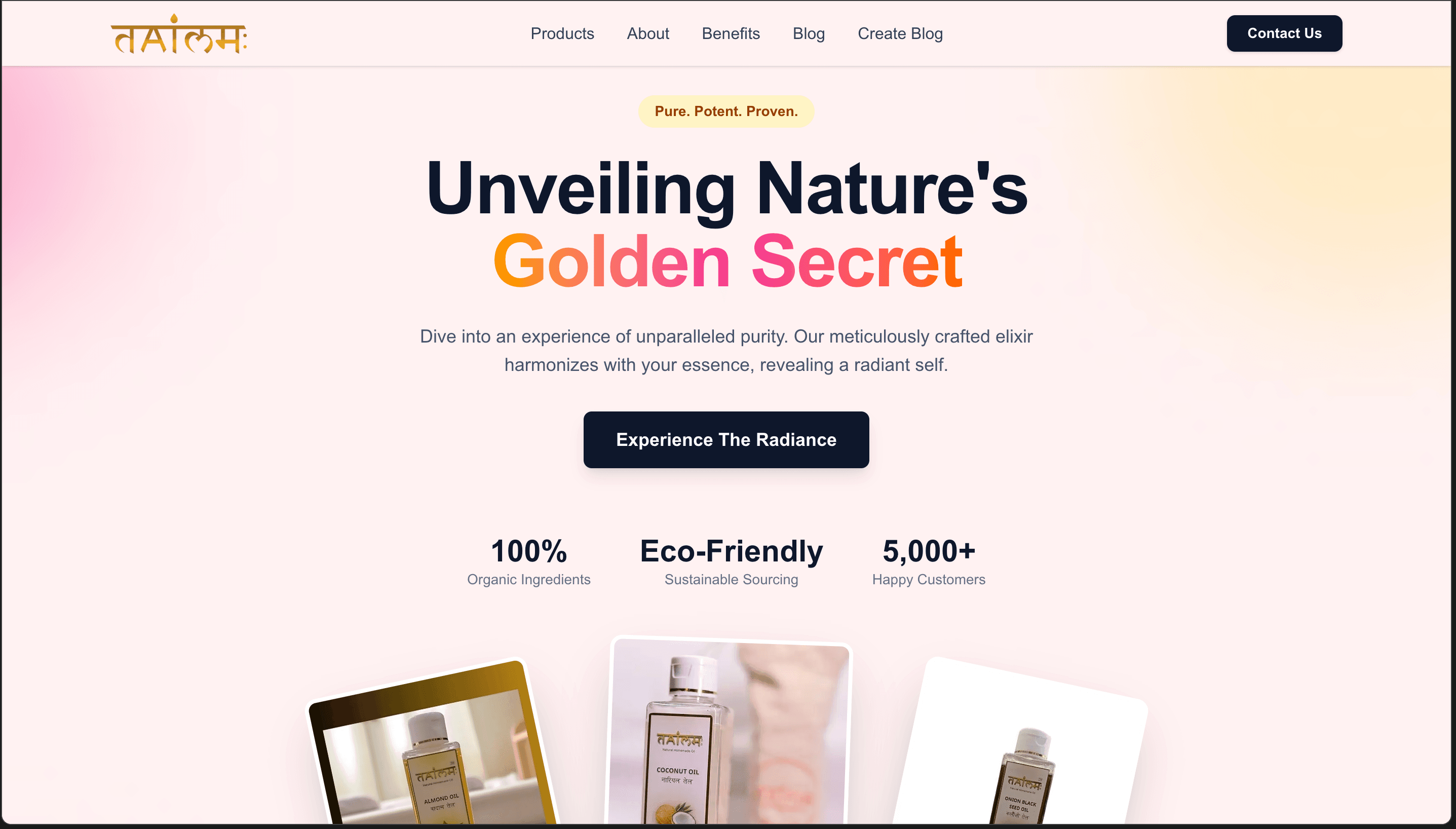 Tailum – portfolio project